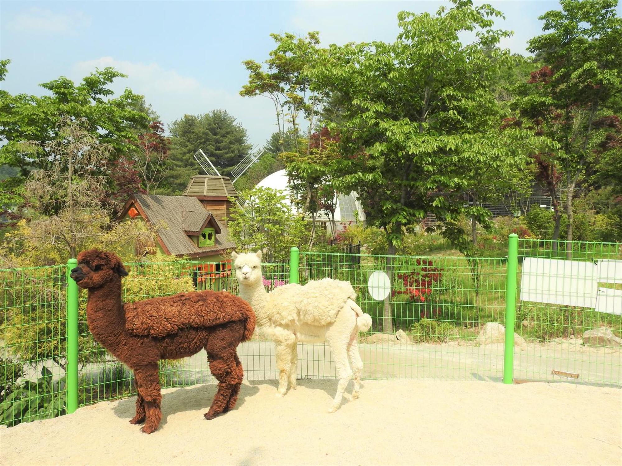 Kensington Resort คาพยอง ภายนอก รูปภาพ