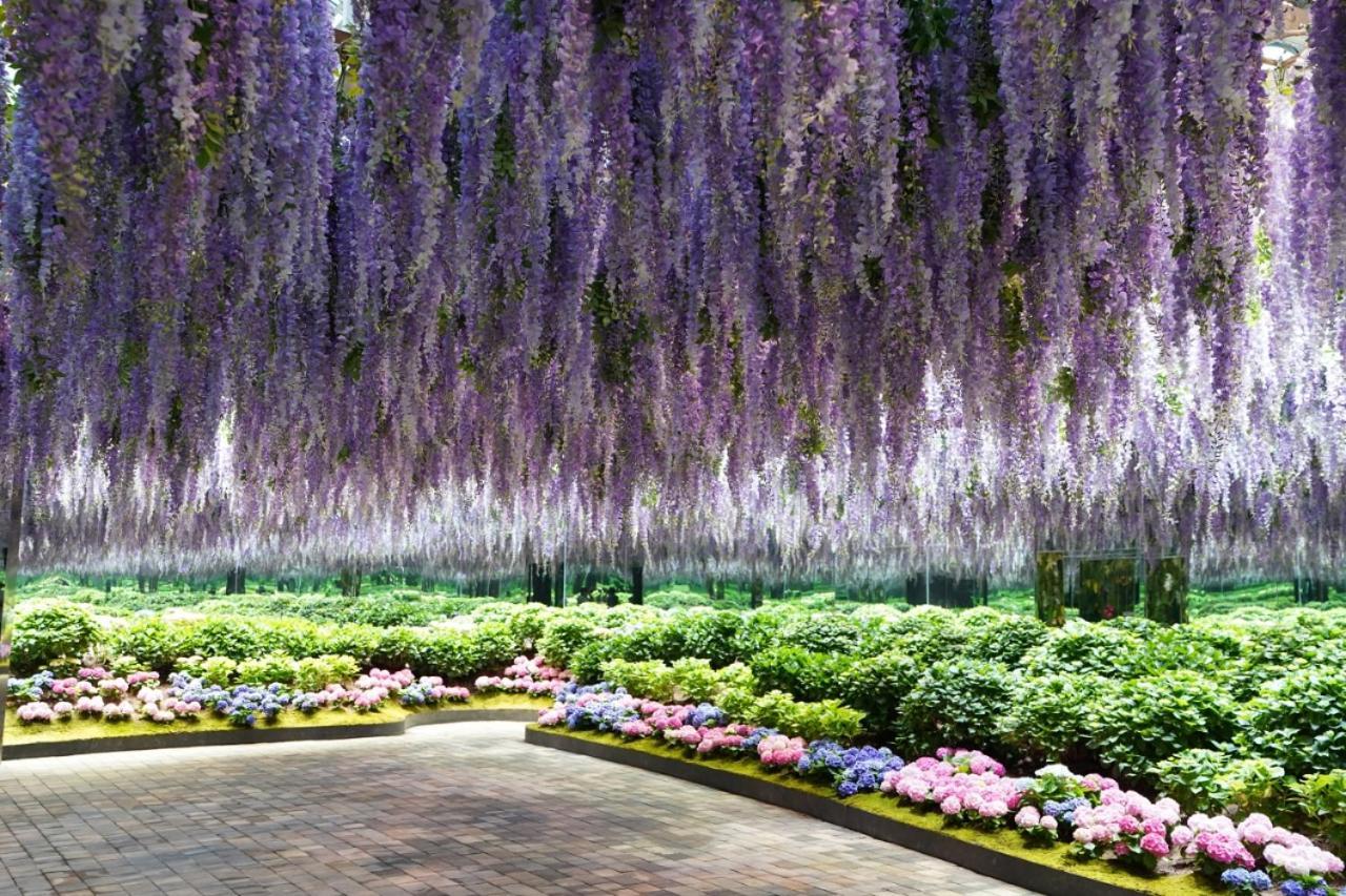 Kensington Resort คาพยอง ภายนอก รูปภาพ